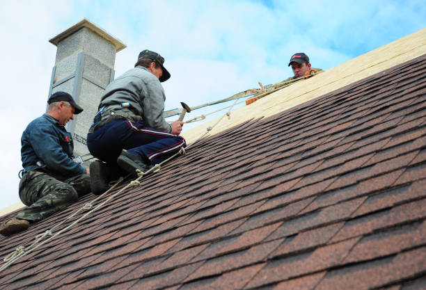 Best Commercial Roofing Services  in Spring City, TN